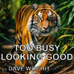 Too busy looking good by Dave Wochit